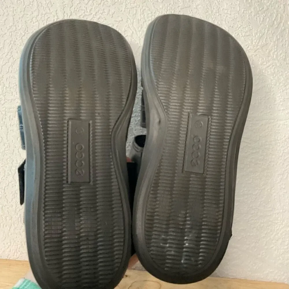 Ecco elevate your